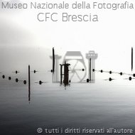 FAGLIA BRUNO-FONTANA LACUSTRE